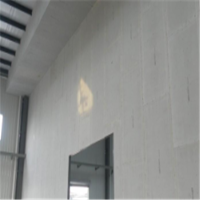 萨尔图宁波ALC板|EPS加气板隔墙与混凝土整浇联接的实验研讨
